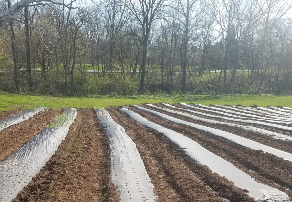 Photo of plowed fields ready for planting. Taken for website and marketing