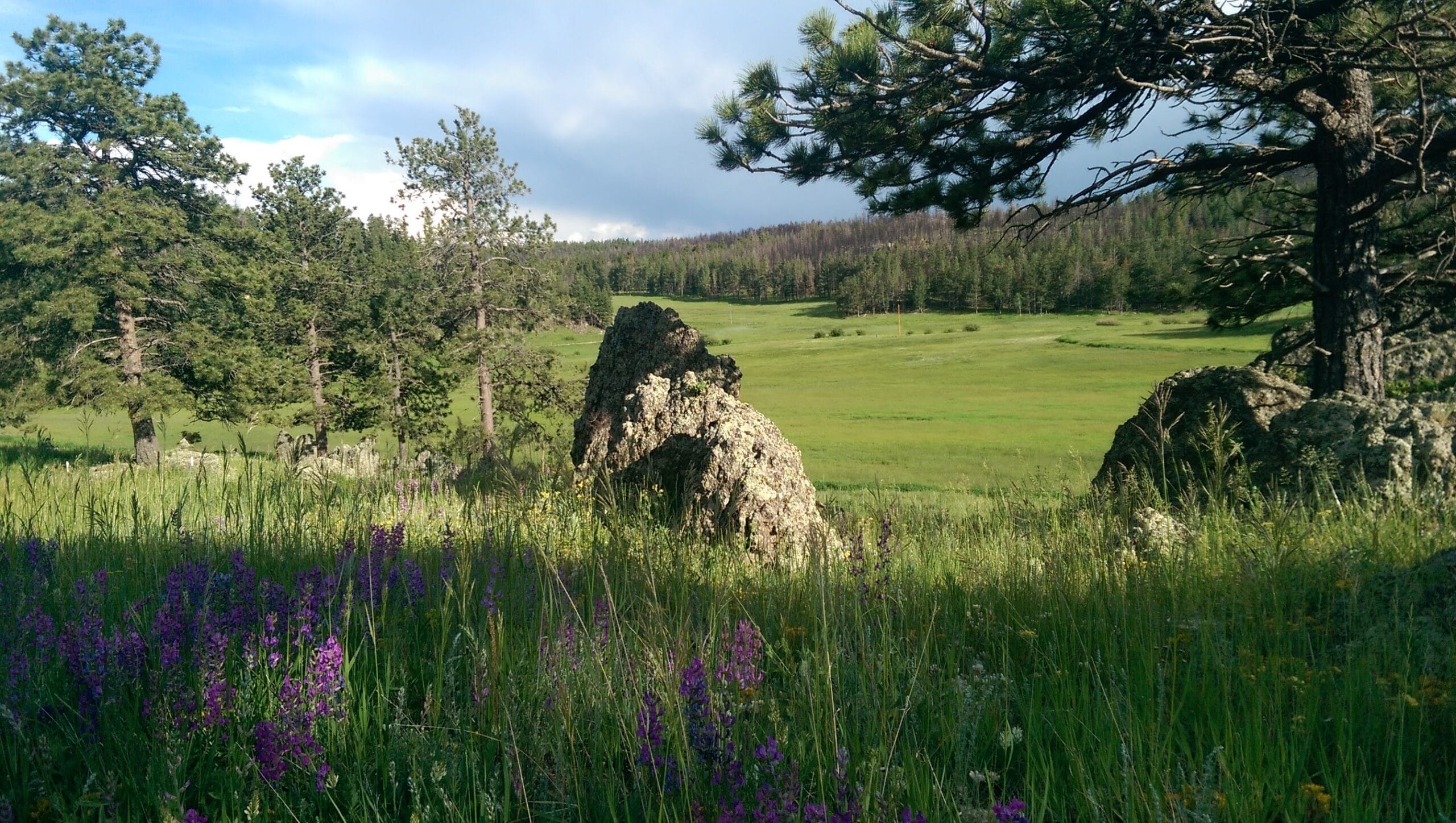 Website Design and Marketing for Rural America
