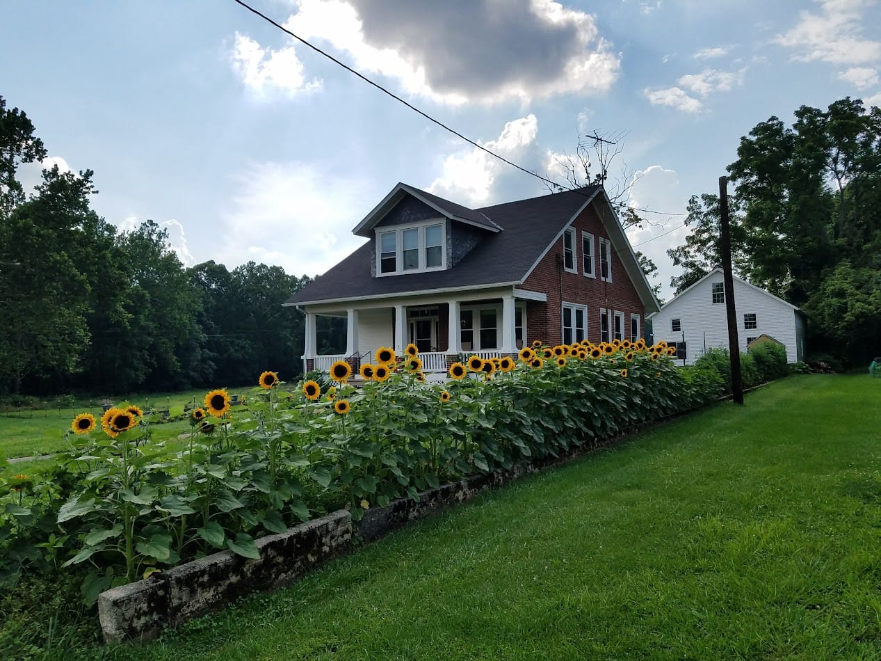 Farmhouse in front of a field of sunflowers for website development and marketing
