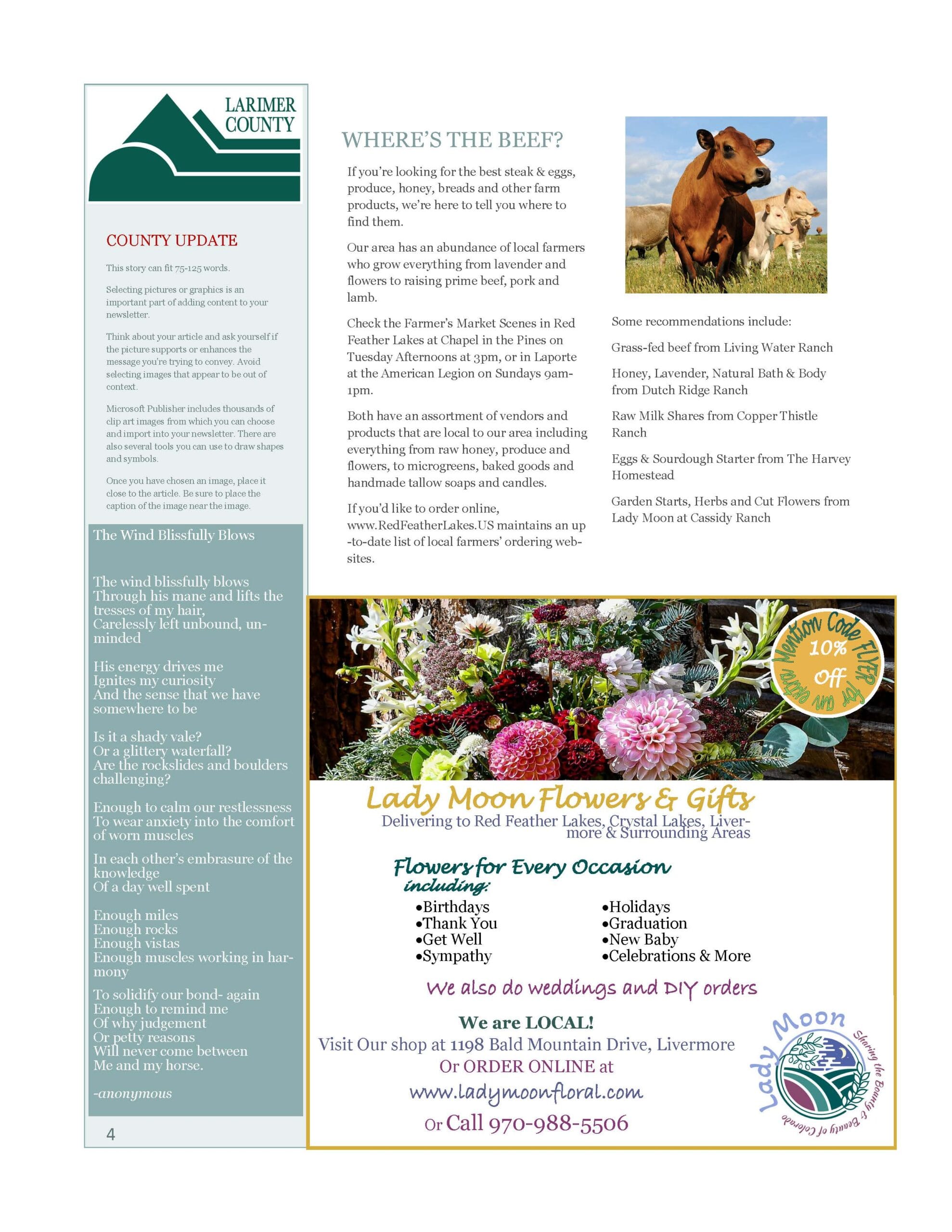 The Mountain Echo inside page