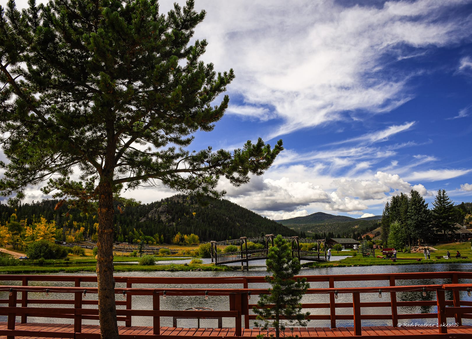 Mountain lake with wooden bridge and pine tree