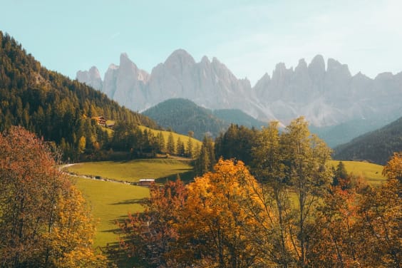 Autumn aspens and alpine mountains in rural Northern Colorado — Rural Mountain Media web design & marketing